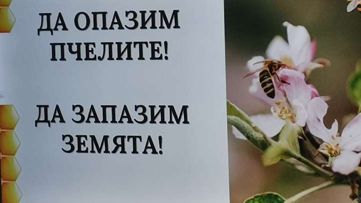 Да опазим пчелите! Да запазим Земята!